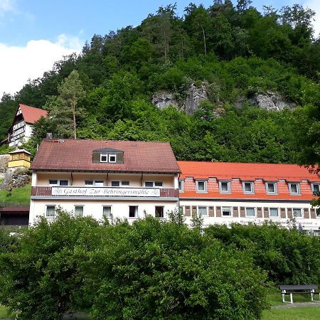 Gasthof Zur Behringersmuhle 호텔 괴스바인슈타인 외부 사진
